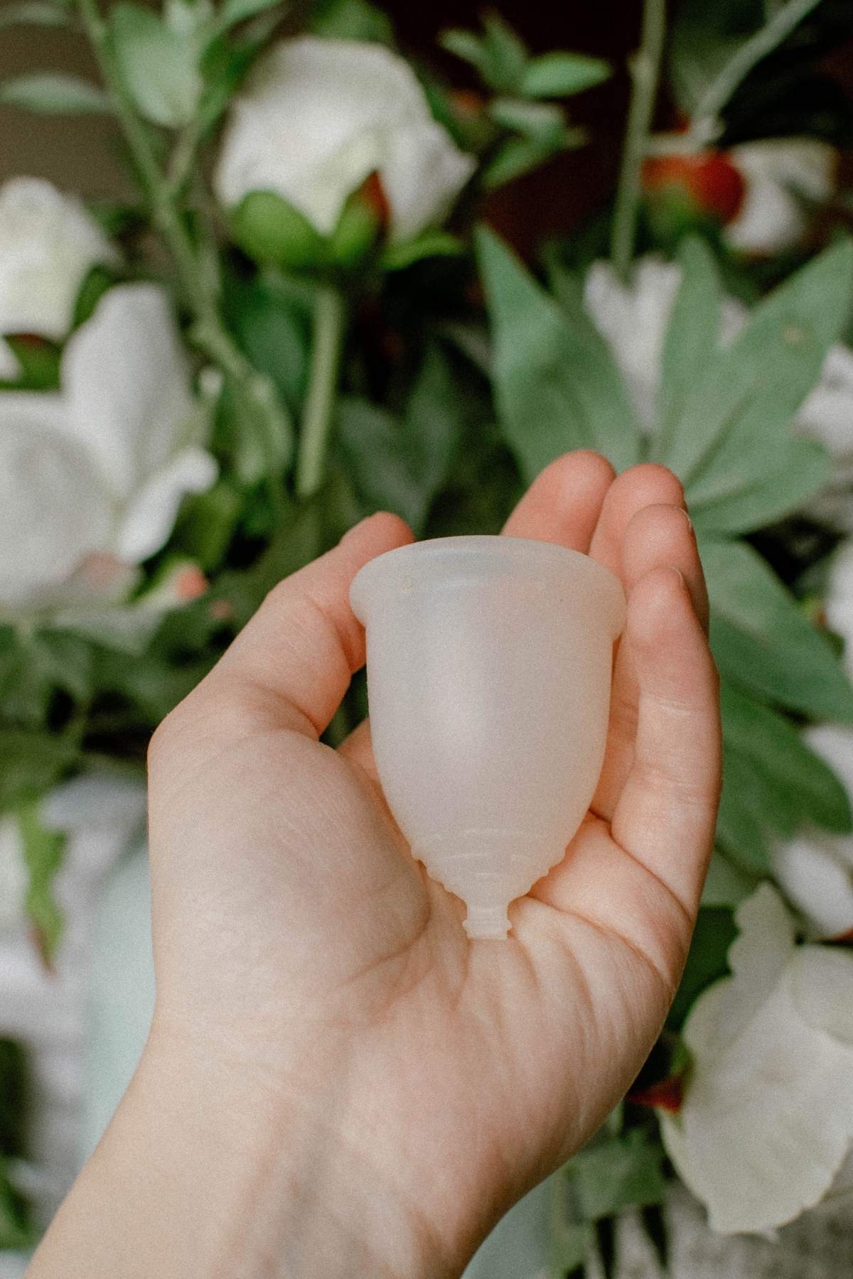 A hand holds a translucent menstrual cup, symbolizing eco-friendly menstruation, against a backdrop of green leaves and white flowers.